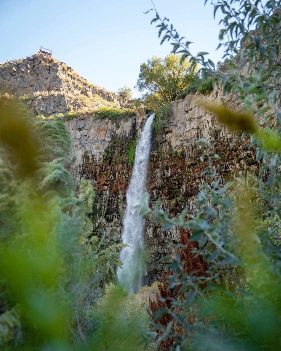 Thin waterfall pouring over a basalt canyon wall, framed by leaves