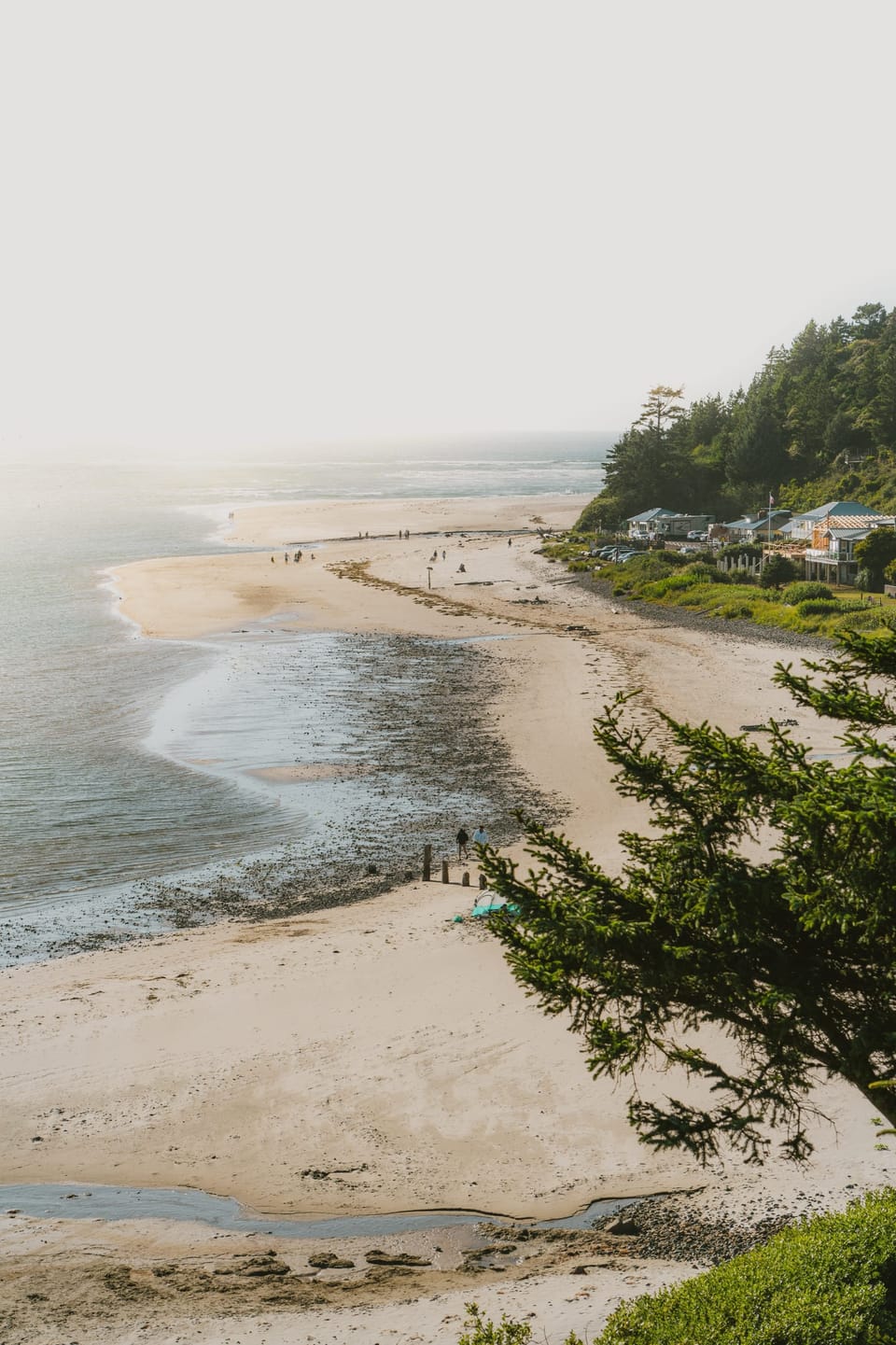 Misty overlook of a sandy bay and forested shoreline