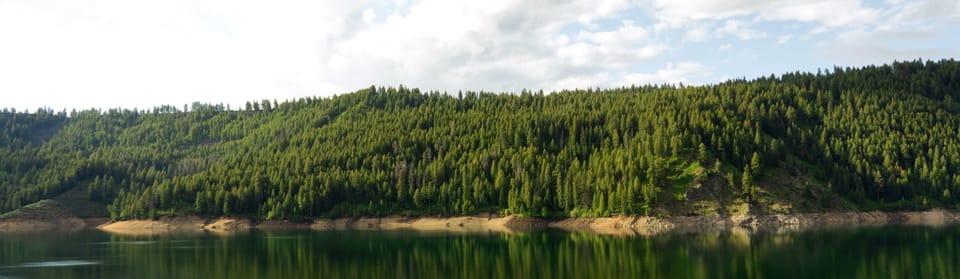 Panorama of a forested hillside above a calm lake shoreline