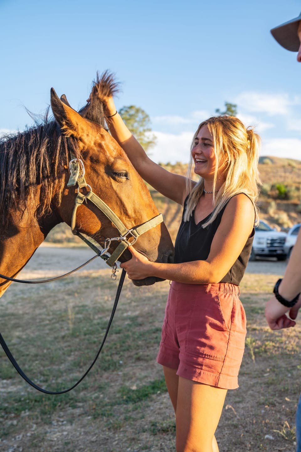Woman in a pink top holding a horse's lead at golden hour